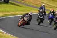 brands-hatch-photographs;brands-no-limits-trackday;cadwell-trackday-photographs;enduro-digital-images;event-digital-images;eventdigitalimages;no-limits-trackdays;peter-wileman-photography;racing-digital-images;trackday-digital-images;trackday-photos